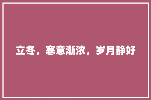 立冬，寒意渐浓，岁月静好
