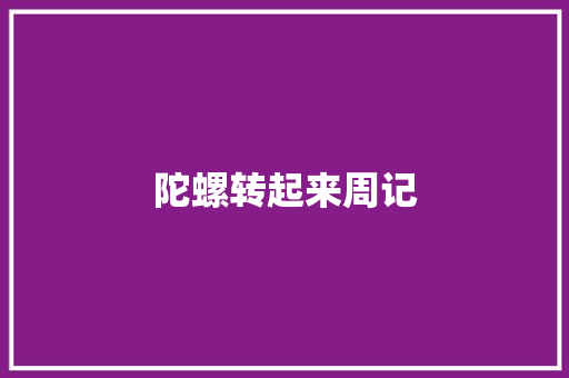 陀螺转起来周记