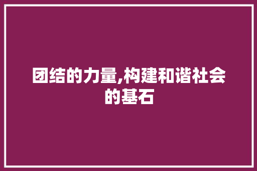 团结的力量,构建和谐社会的基石