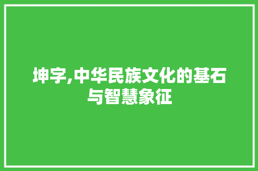 坤字,中华民族文化的基石与智慧象征 写作素材
