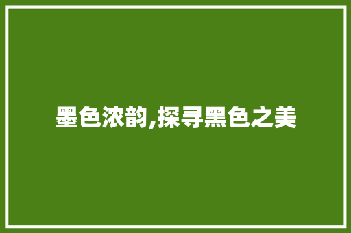 墨色浓韵,探寻黑色之美