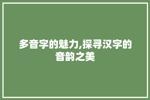 多音字的魅力,探寻汉字的音韵之美