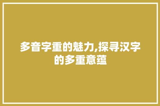 多音字重的魅力,探寻汉字的多重意蕴