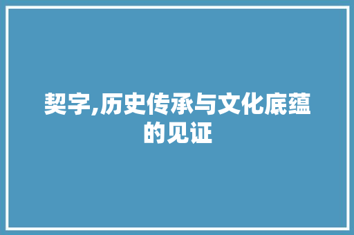 契字,历史传承与文化底蕴的见证