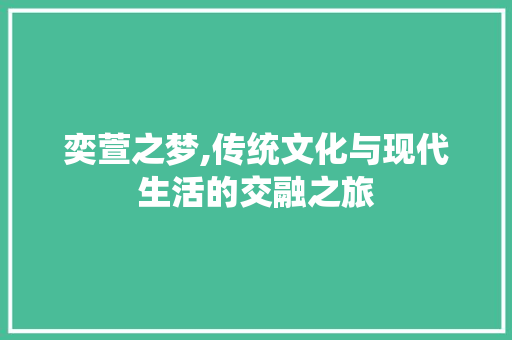 奕萱之梦,传统文化与现代生活的交融之旅