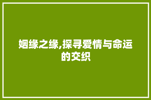 姻缘之缘,探寻爱情与命运的交织