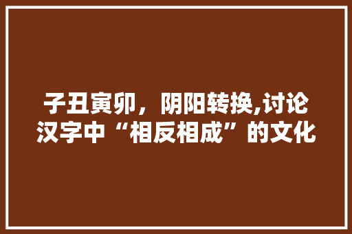 子丑寅卯，阴阳转换,讨论汉字中“相反相成”的文化内涵 诗歌创作