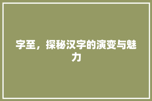字至，探秘汉字的演变与魅力