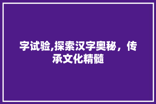 字试验,探索汉字奥秘，传承文化精髓