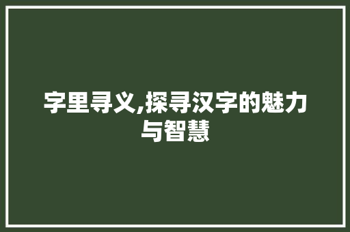 字里寻义,探寻汉字的魅力与智慧