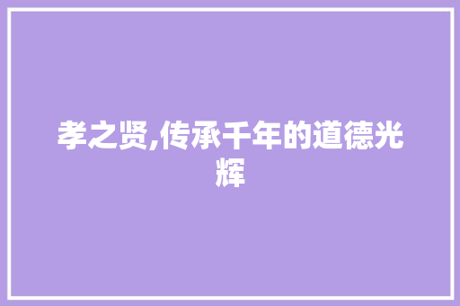 孝之贤,传承千年的道德光辉