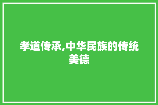 孝道传承,中华民族的传统美德 写作技巧