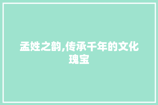 孟姓之韵,传承千年的文化瑰宝 词汇积累
