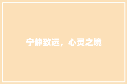 宁静致远，心灵之境 词汇积累