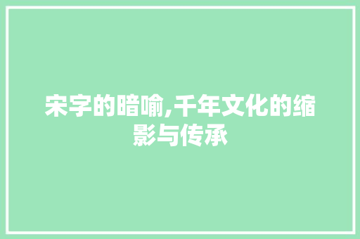 宋字的暗喻,千年文化的缩影与传承