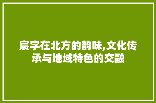 宸字在北方的韵味,文化传承与地域特色的交融 报告写作