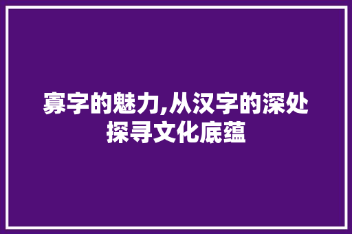 寡字的魅力,从汉字的深处探寻文化底蕴