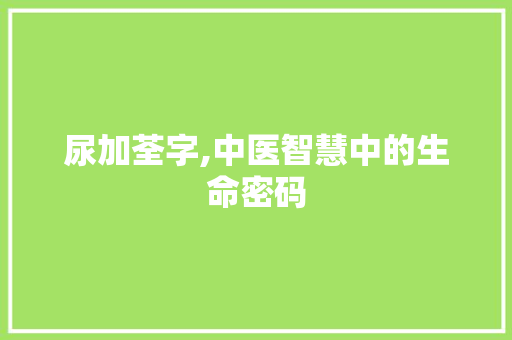 尿加荃字,中医智慧中的生命密码
