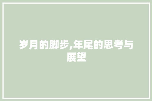 岁月的脚步,年尾的思考与展望