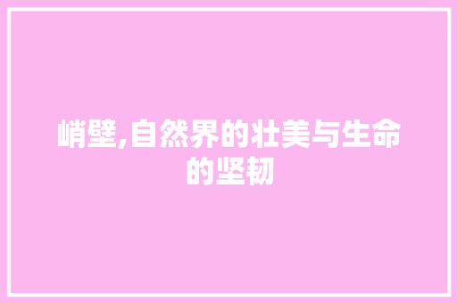 峭壁,自然界的壮美与生命的坚韧 简历模板