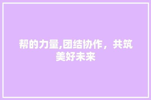 帮的力量,团结协作，共筑美好未来