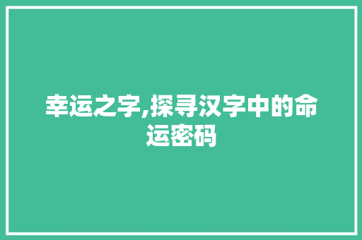 幸运之字,探寻汉字中的命运密码 词汇积累