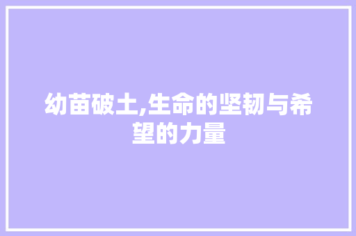 幼苗破土,生命的坚韧与希望的力量