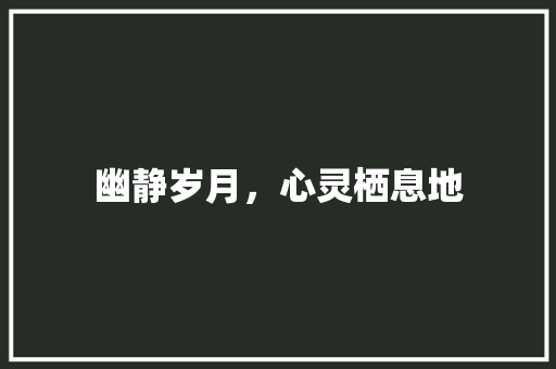 幽静岁月，心灵栖息地 报告写作