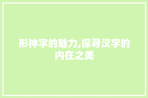形神字的魅力,探寻汉字的内在之美