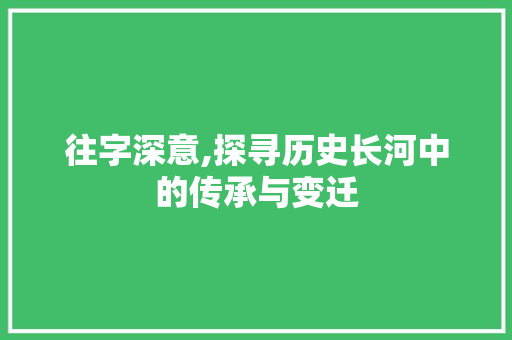 往字深意,探寻历史长河中的传承与变迁