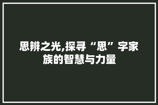 思辨之光,探寻“思”字家族的智慧与力量