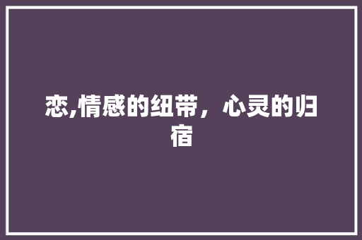 恋,情感的纽带，心灵的归宿