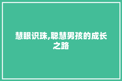 慧眼识珠,聪慧男孩的成长之路