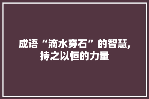 成语“滴水穿石”的智慧,持之以恒的力量