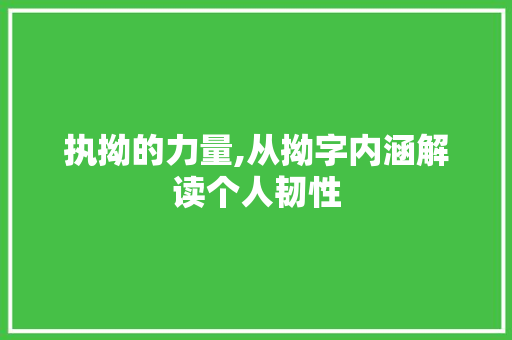 执拗的力量,从拗字内涵解读个人韧性