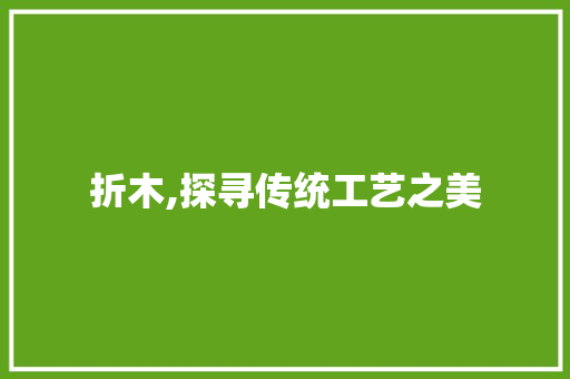 折木,探寻传统工艺之美 词汇积累