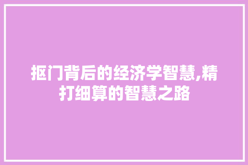 抠门背后的经济学智慧,精打细算的智慧之路 简历模板