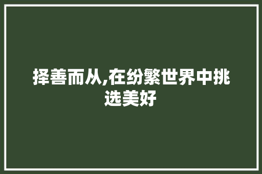 择善而从,在纷繁世界中挑选美好