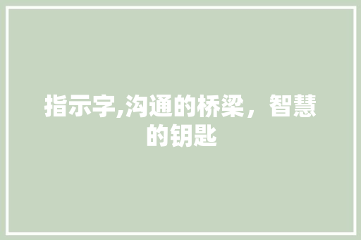 指示字,沟通的桥梁，智慧的钥匙