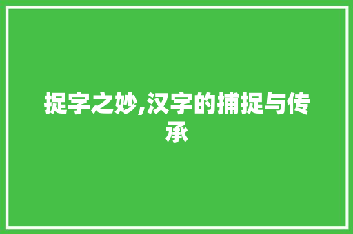 捉字之妙,汉字的捕捉与传承
