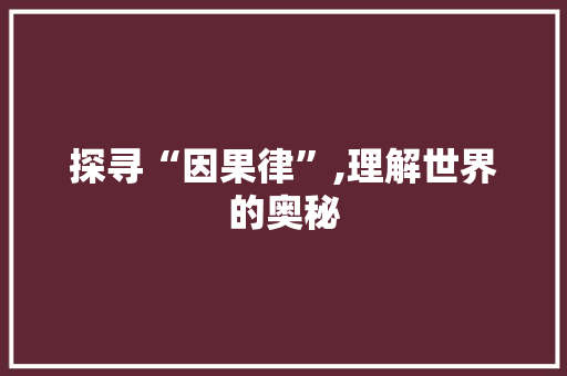 探寻“因果律”,理解世界的奥秘 报告写作