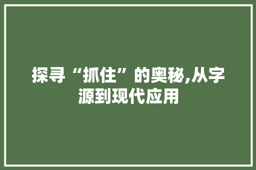 探寻“抓住”的奥秘,从字源到现代应用 商业文案