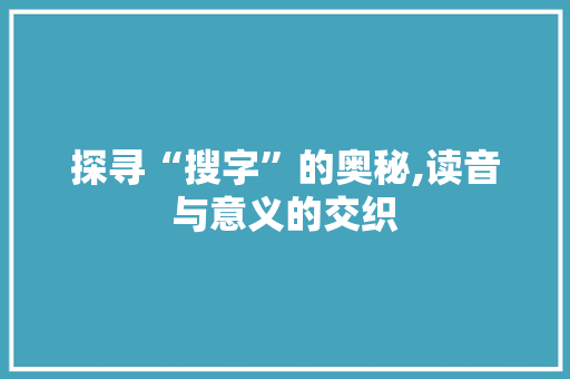 探寻“搜字”的奥秘,读音与意义的交织