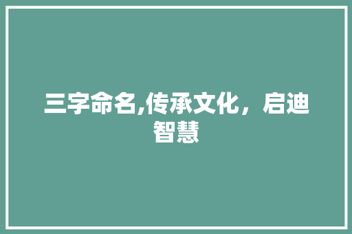 三字命名,传承文化，启迪智慧