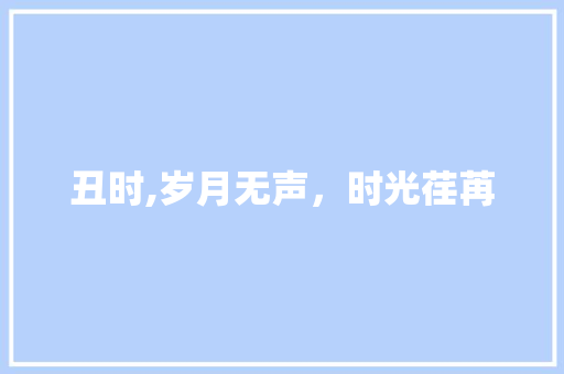 丑时,岁月无声，时光荏苒