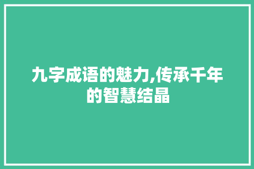九字成语的魅力,传承千年的智慧结晶 词汇积累
