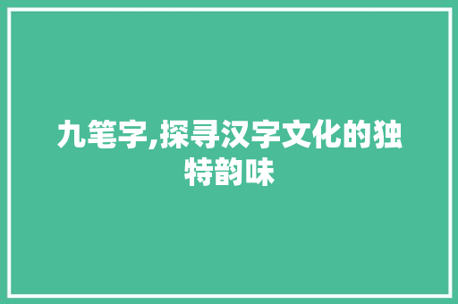 九笔字,探寻汉字文化的独特韵味 商业文案