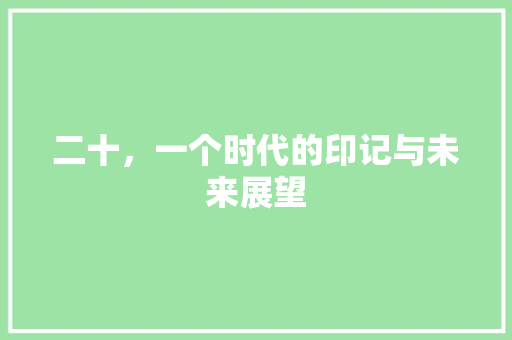 二十，一个时代的印记与未来展望 报告写作