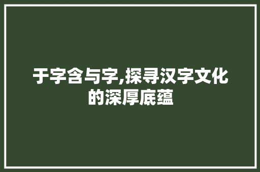 于字含与字,探寻汉字文化的深厚底蕴