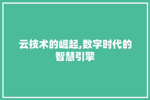 云技术的崛起,数字时代的智慧引擎